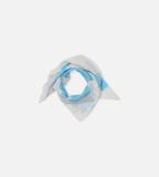 52_1_52254294586_color_4247_160x160