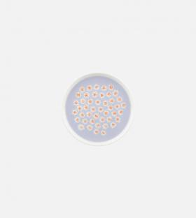 【日本限定】Puketti プレート 13.5cm