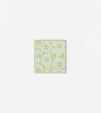 52_1_52269475493_color_0973_160x160