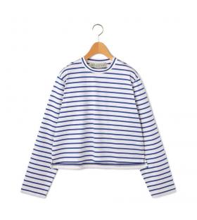 【MidiUmi】ベーシックボーダー