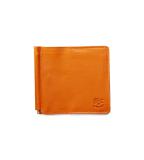 54_1_411621_color_0113_160x160