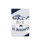 54_1_54262305285_color_9053_160x160