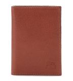 54_1_54262305360_color_0095_160x160