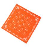 54_1_5432404194_color_0113_160x160