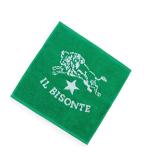 54_1_5432404199_color_0448_160x160