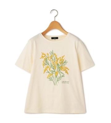 ４０／２天竺カットソー