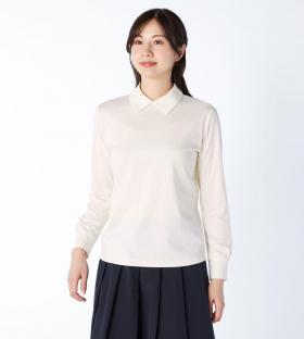 【Lサイズ】コットン天竺カットソーステンカラー