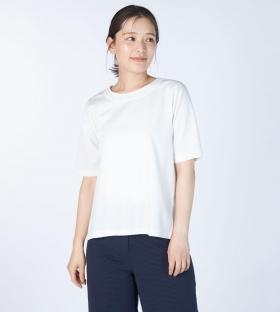 【Lサイズ】ストライプジャージーカットソー