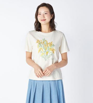 【Lサイズ】４０／２天竺カットソー