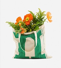 Spring fair｜ノベルティキャンペーン